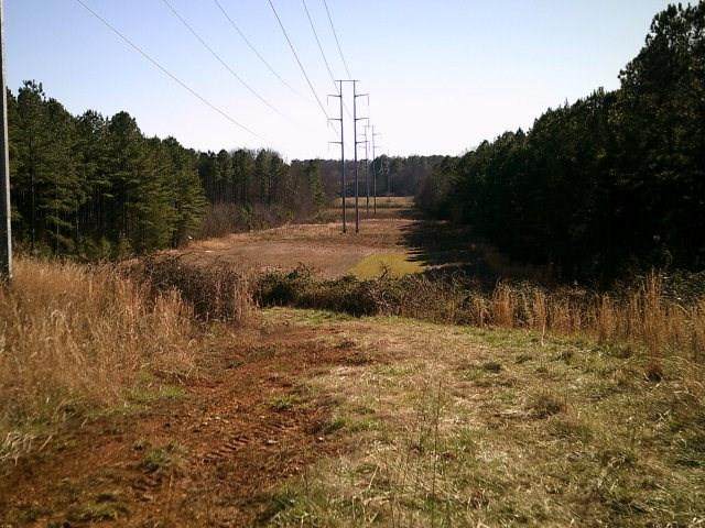 0 Witherow Bridge Road - Photo 1