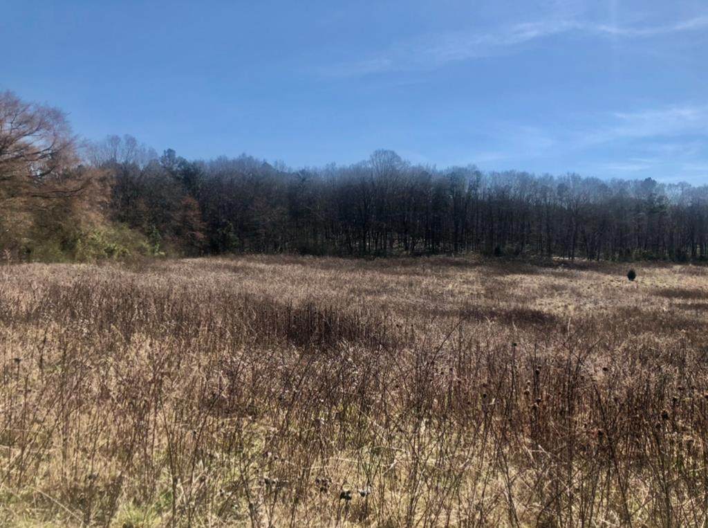 0 Cohutta Varnell Road - Photo 1