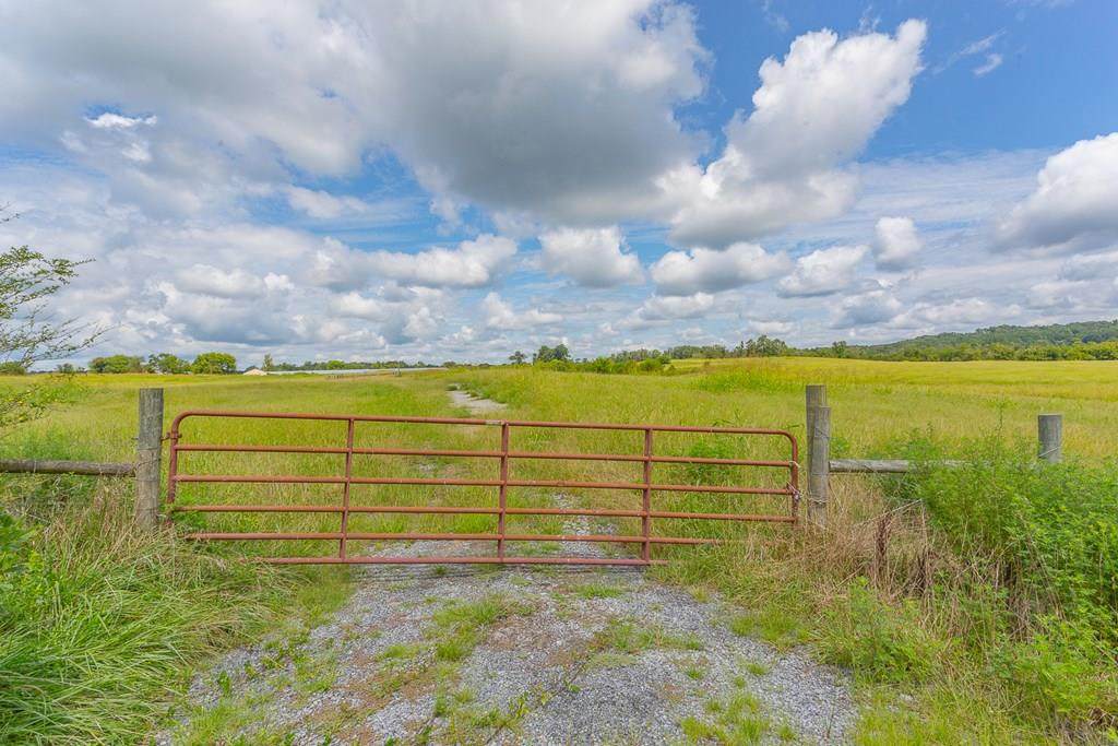 48 Acres County Line Road - Photo 1
