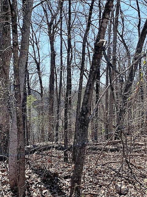 Lot 37 Pat Cleburne Lane - Photo 1