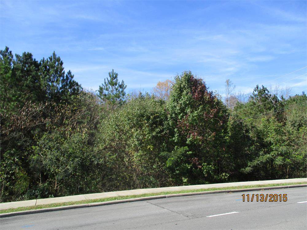 Tract 1 Haig Mill Lake Rd - Photo 1