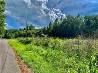 0 Freeman Springs Road - Photo 1