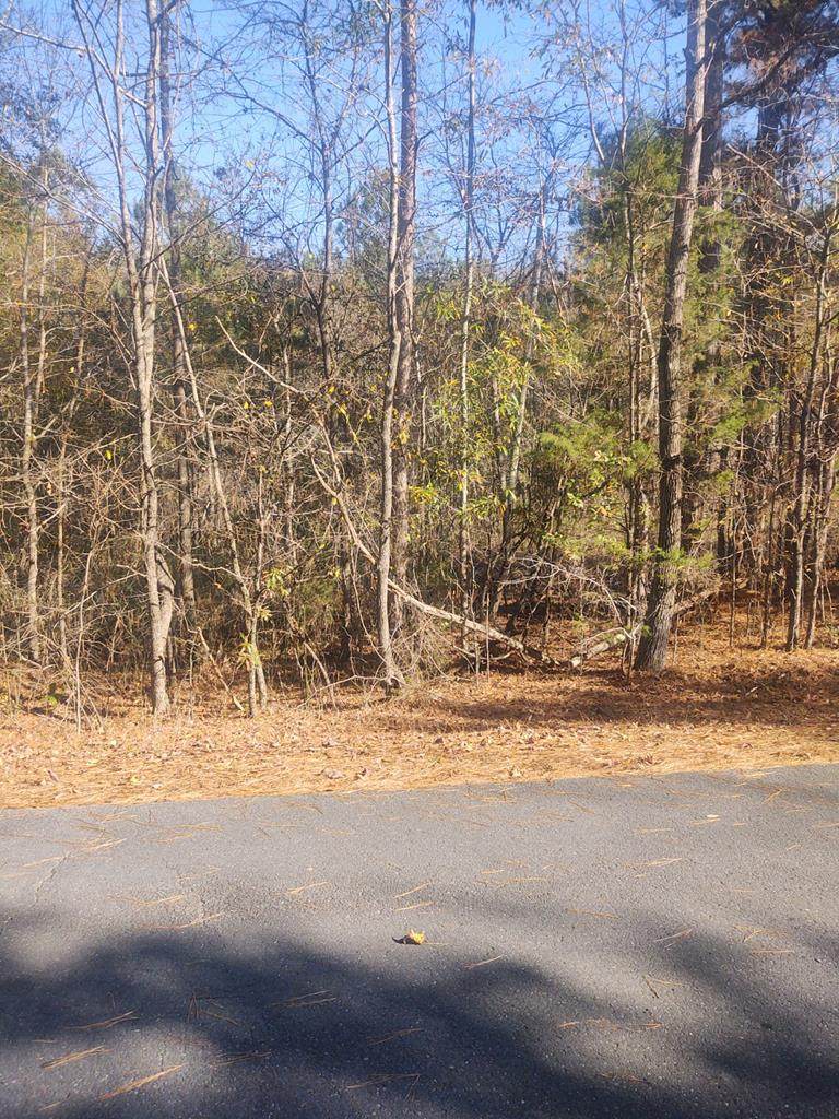 00 Lake Katherine Road - Photo 1