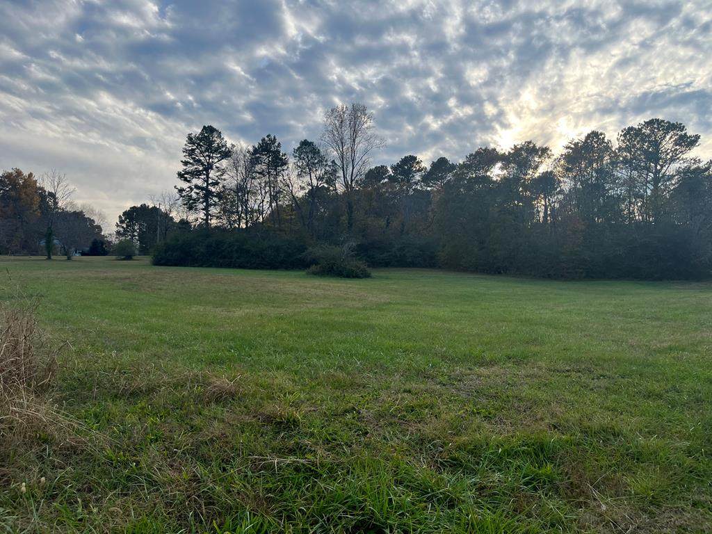 439 Westbrook Road - Photo 1