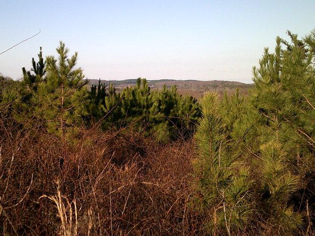 00 Standing Road - Photo 1