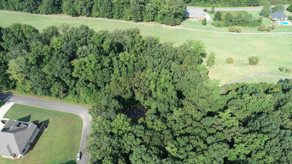 00 Indian Trace Drive - Photo 1