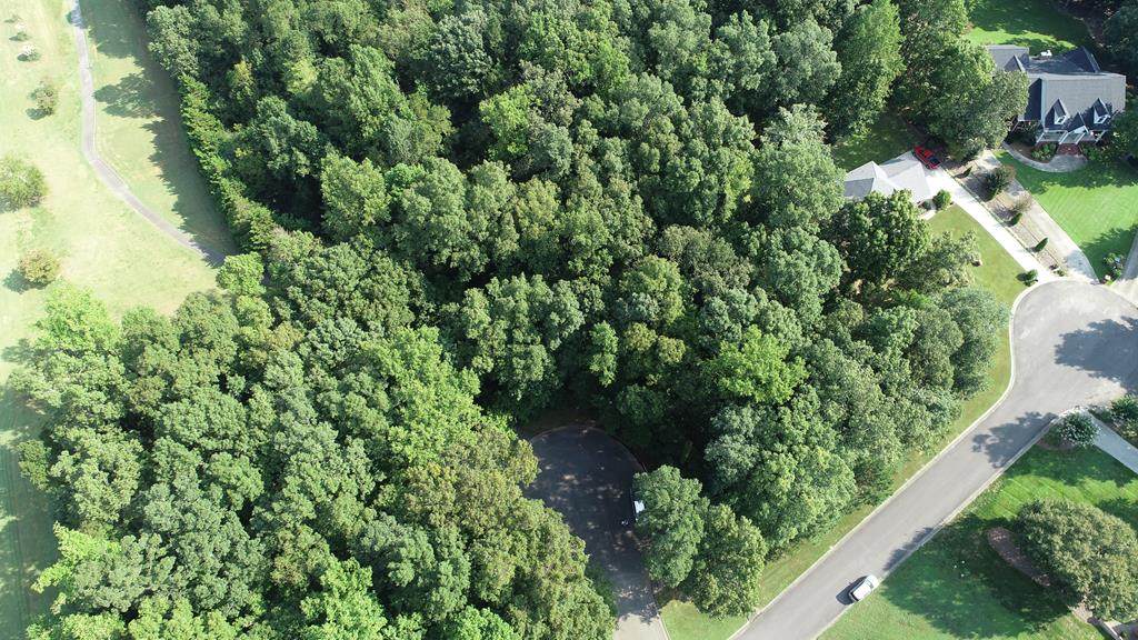 00 Indian Trace Drive - Photo 1