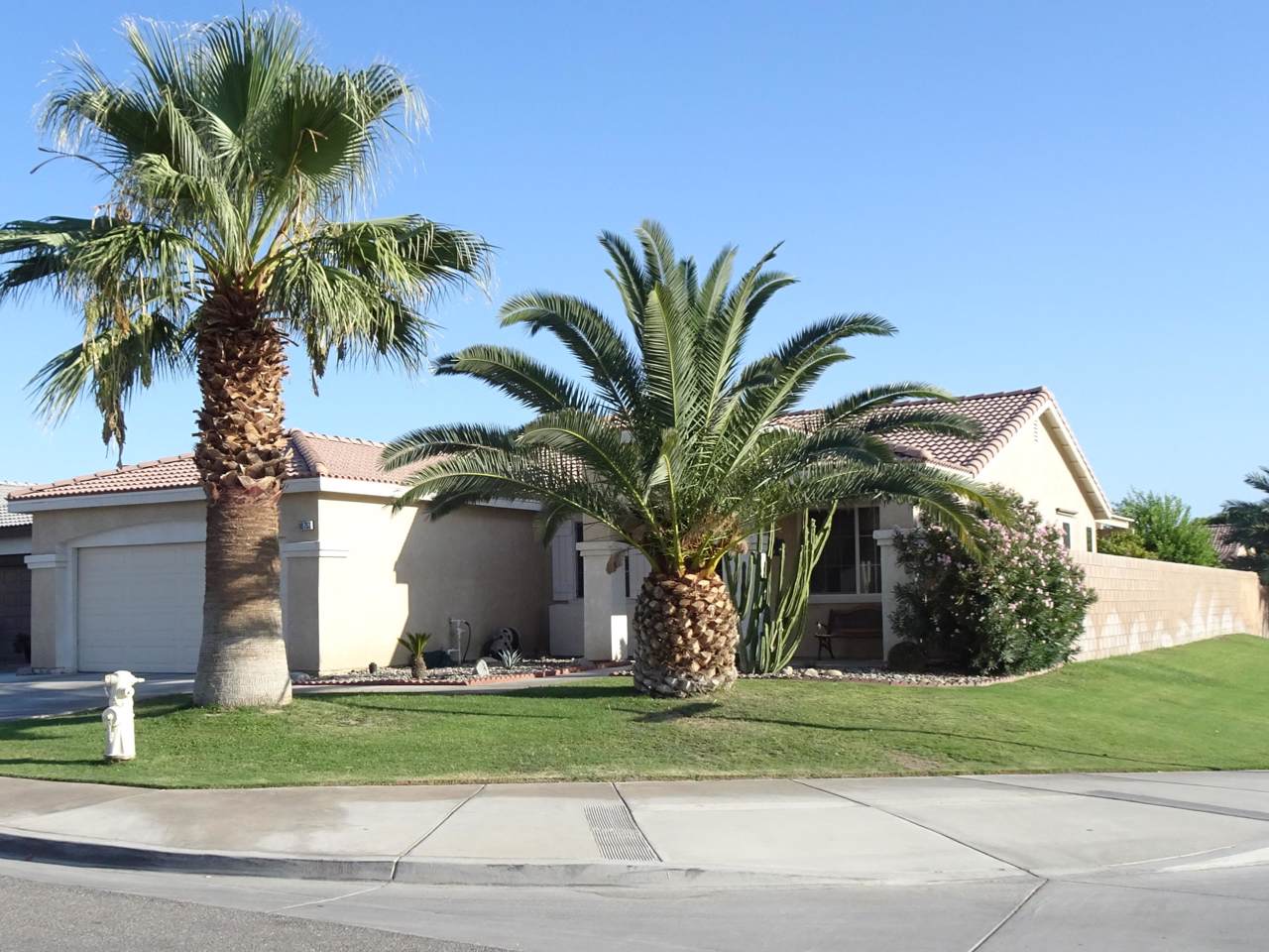 80753 Canyon Trail - Photo 1
