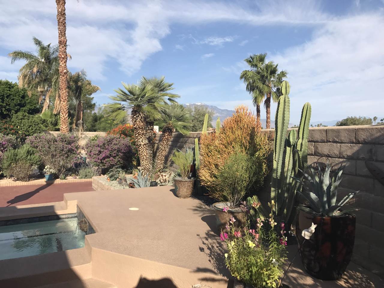 43041 Balsam Lane - Photo 1