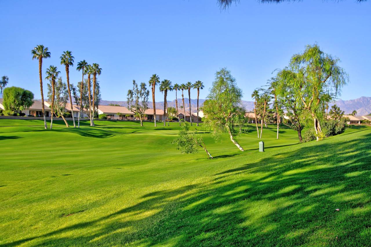 78431 Golden Reed Drive - Photo 1