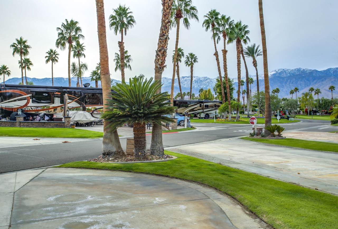 69411 Ramon Road - Photo 1