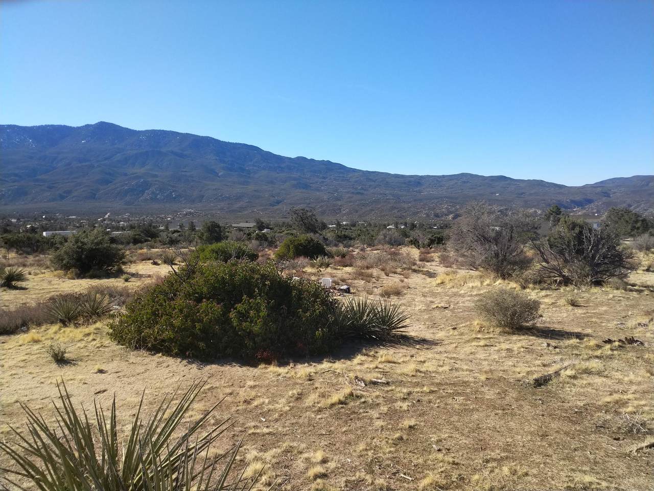 99 Alpine Road - Photo 1
