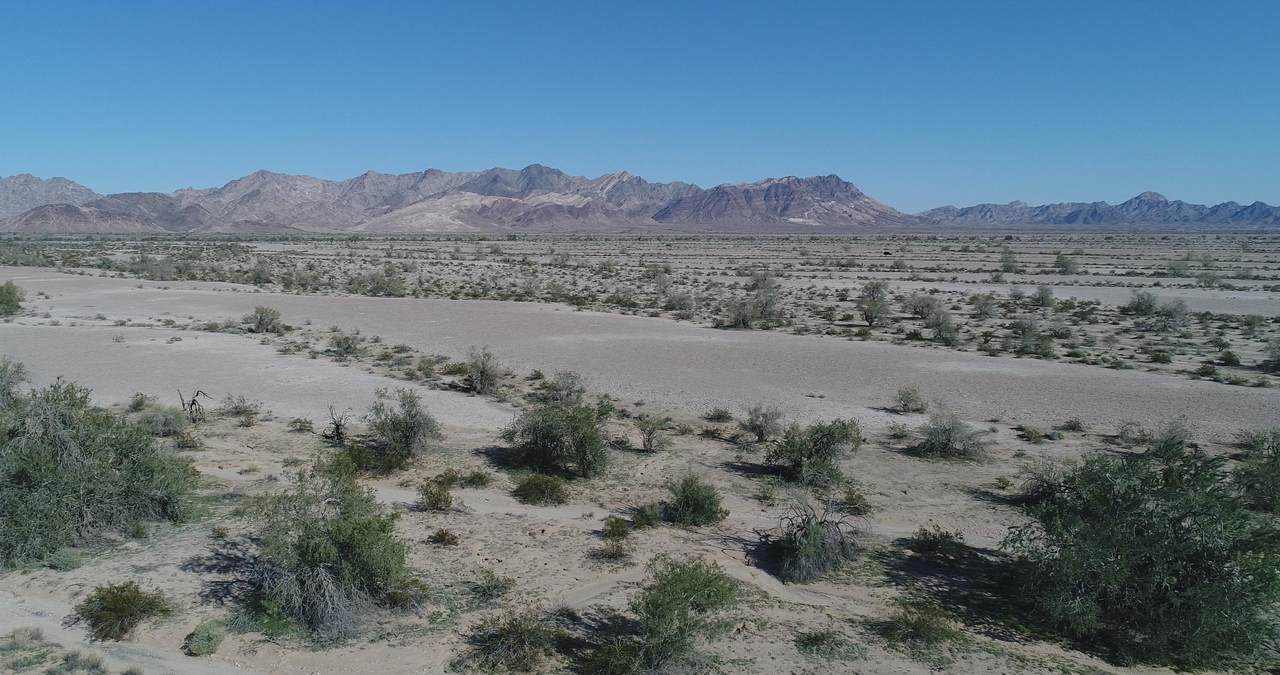 157 Acres - Photo 1 157 Acres - Photo 1