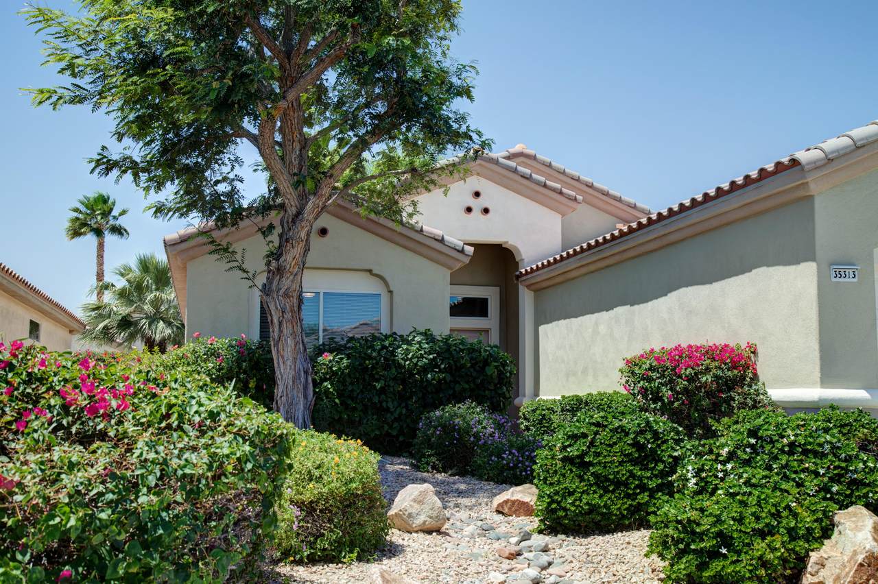 35313 Staccato Street - Photo 1 35313 Staccato Street - Photo 1