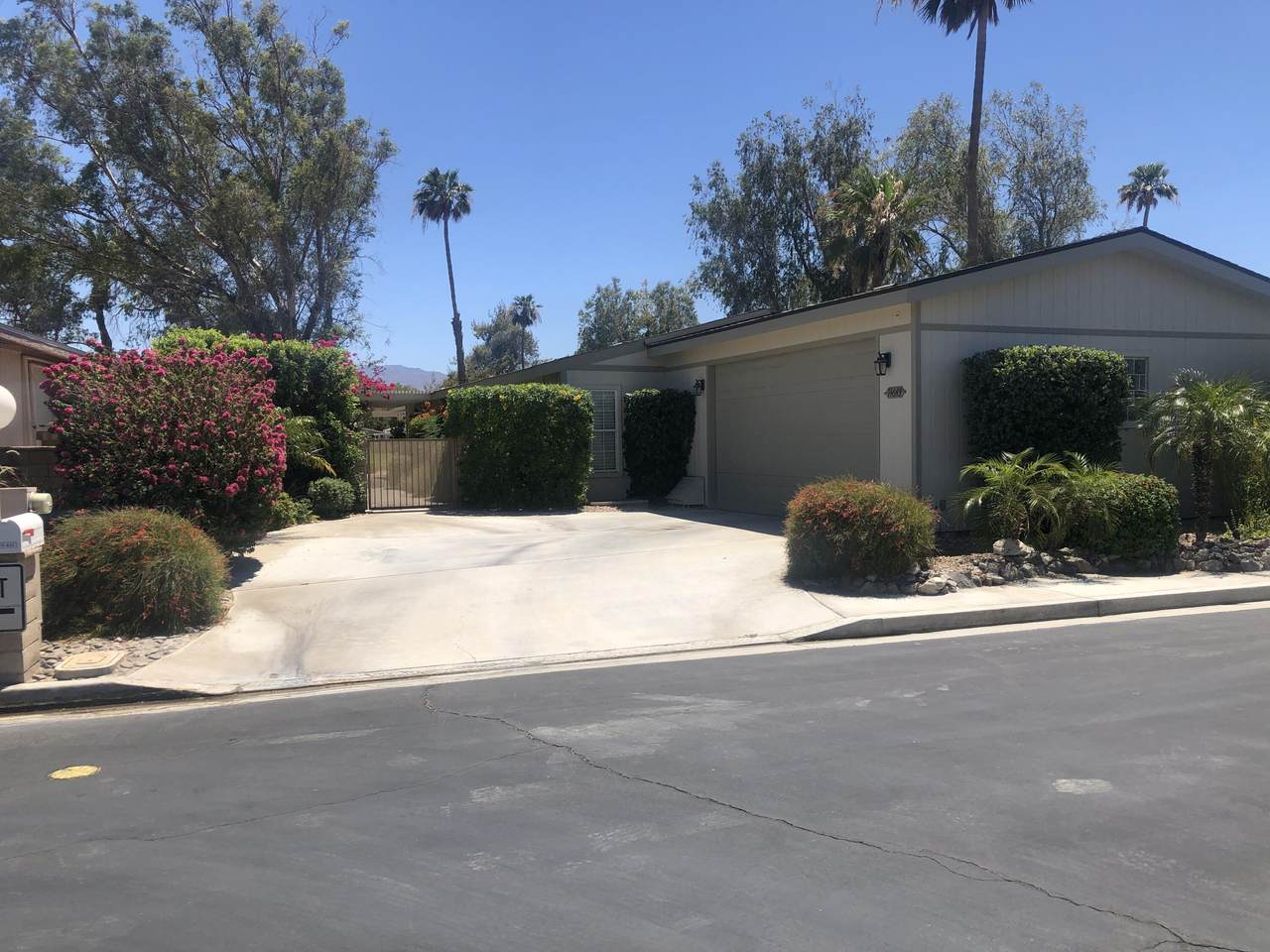 74643 Mexicali Rose - Photo 1