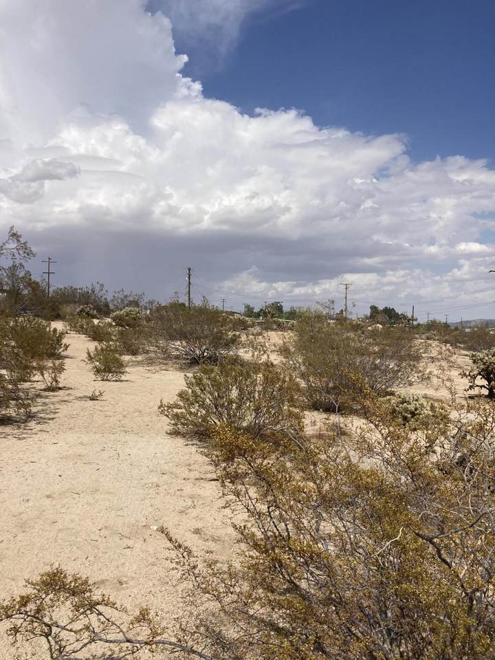 0 Big Morongo Canyon - Photo 1