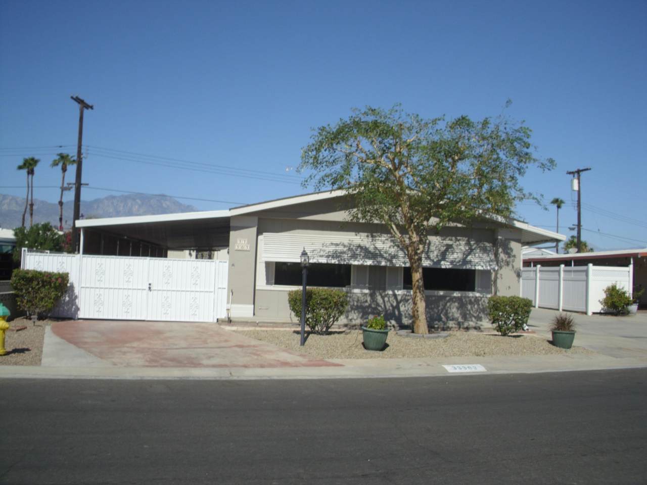 33303 Laura Drive - Photo 1