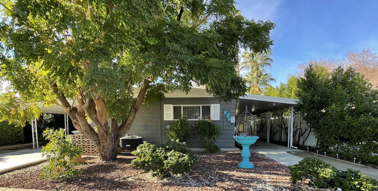 61 Paseo Laredo - Photo 1