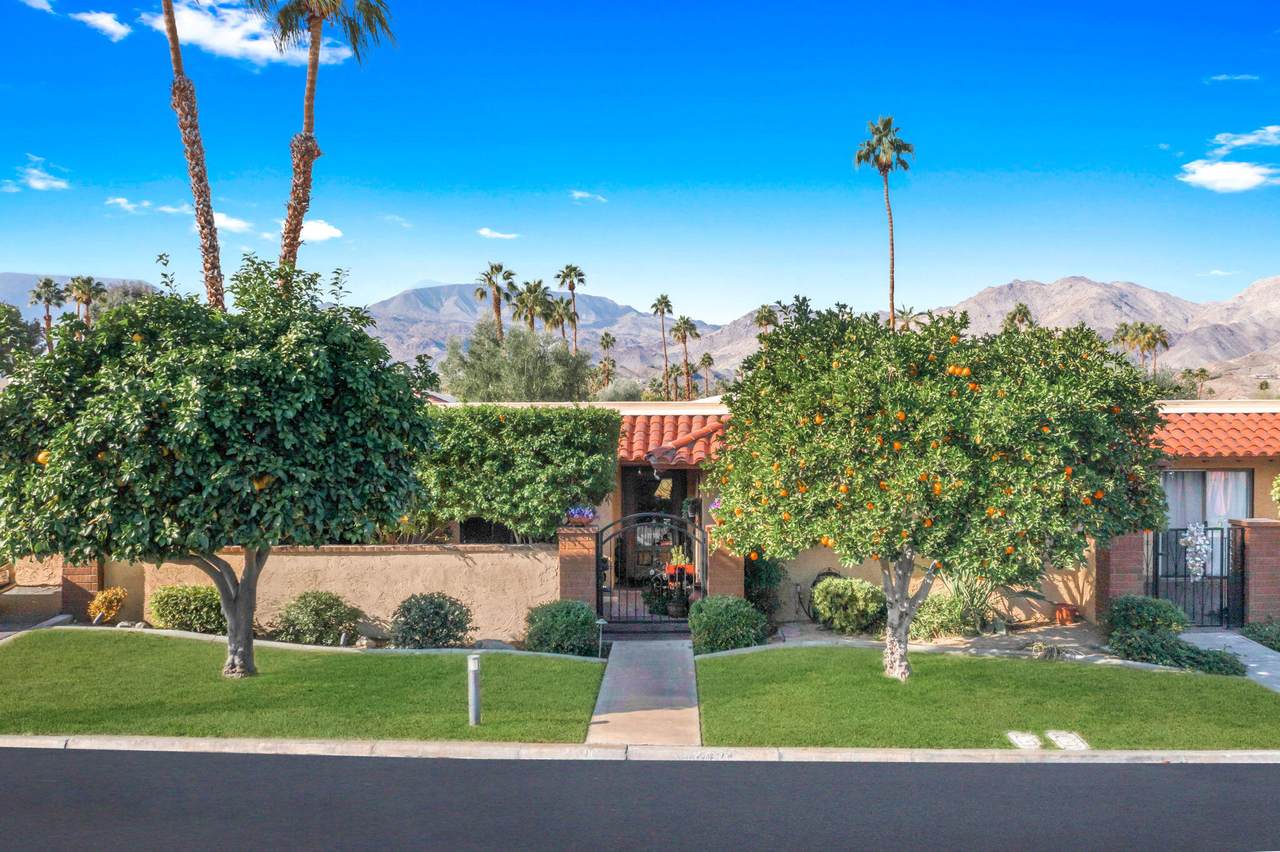 48475 Alamo Drive - Photo 1