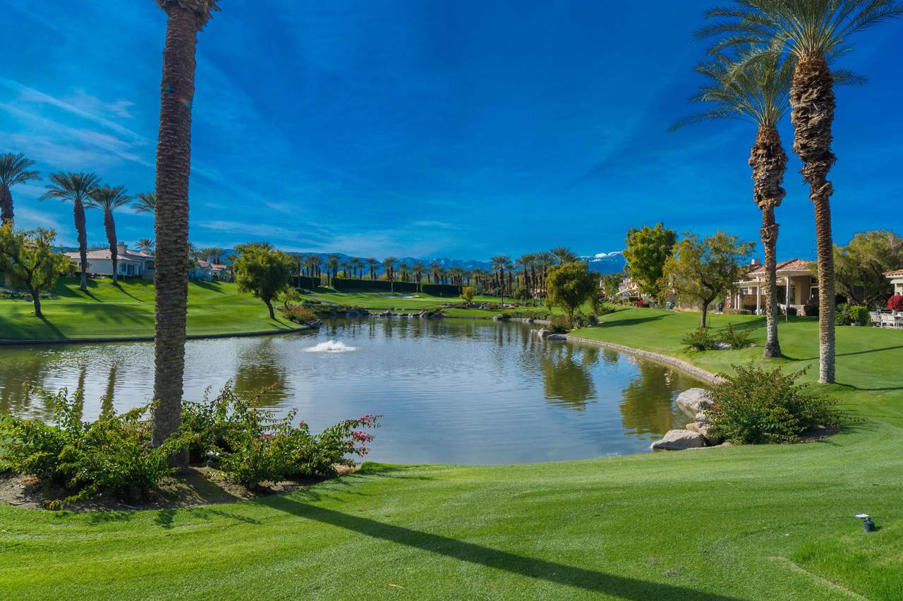 117 Desert Holly Drive - Photo 1
