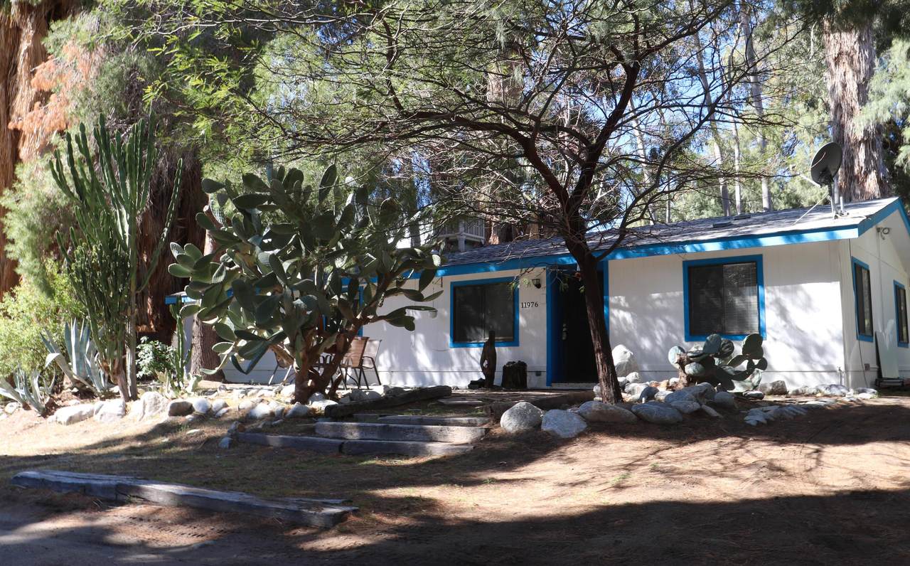 11976 Cecil Drive - Photo 1