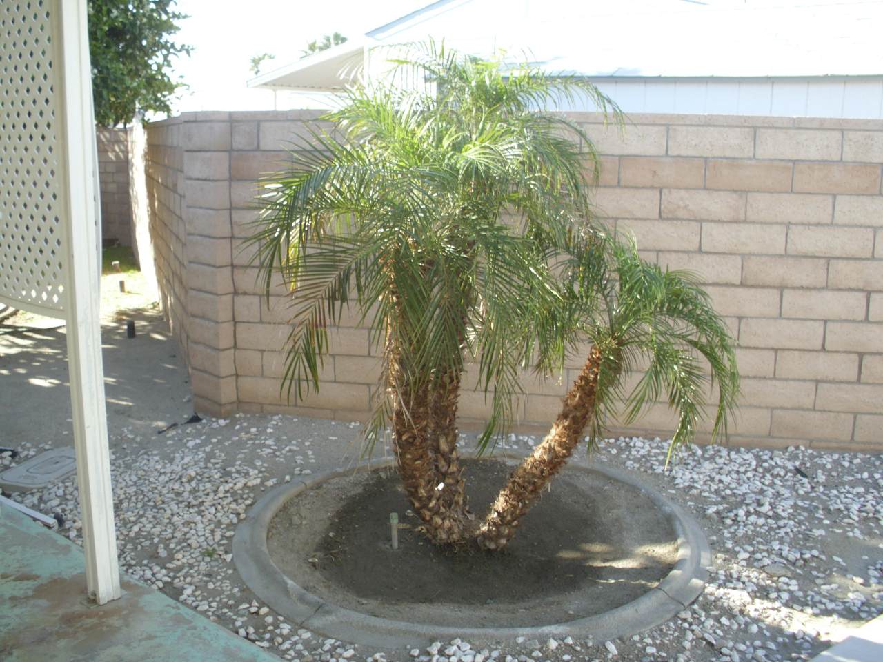 https://bt-photos.global.ssl.fastly.net/damls/1280_boomver_1_219127061-2.jpg