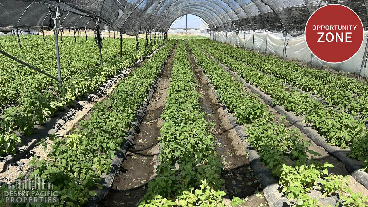 78100 Harrison St - Photo 1