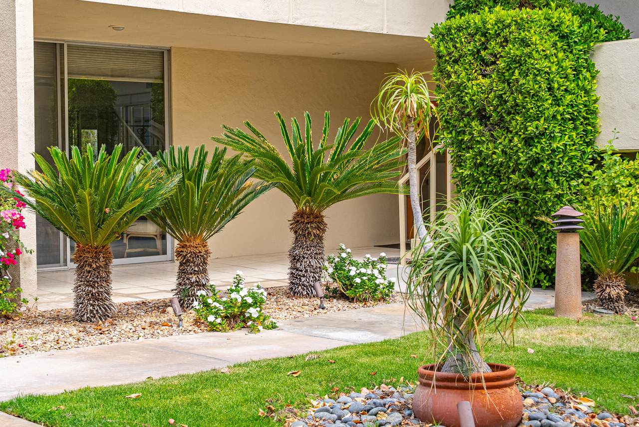 477 Desert Lakes Drive - Photo 1