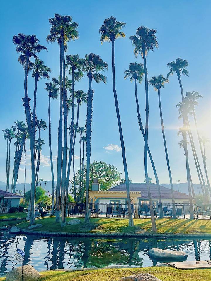 43376 Cook Street - Photo 1