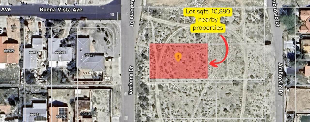 1 Verbena Dr - Photo 1