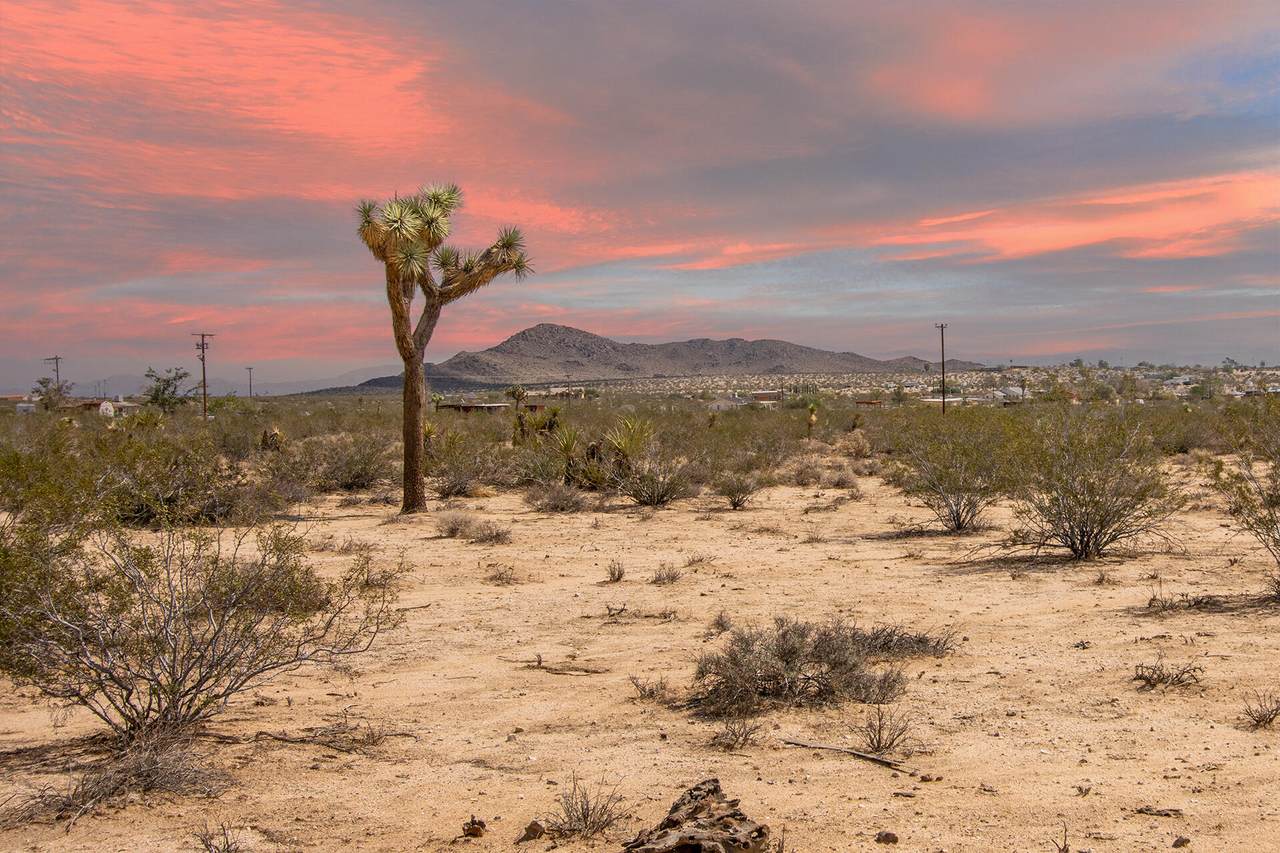 401 Stonehill Avenue - Photo 1