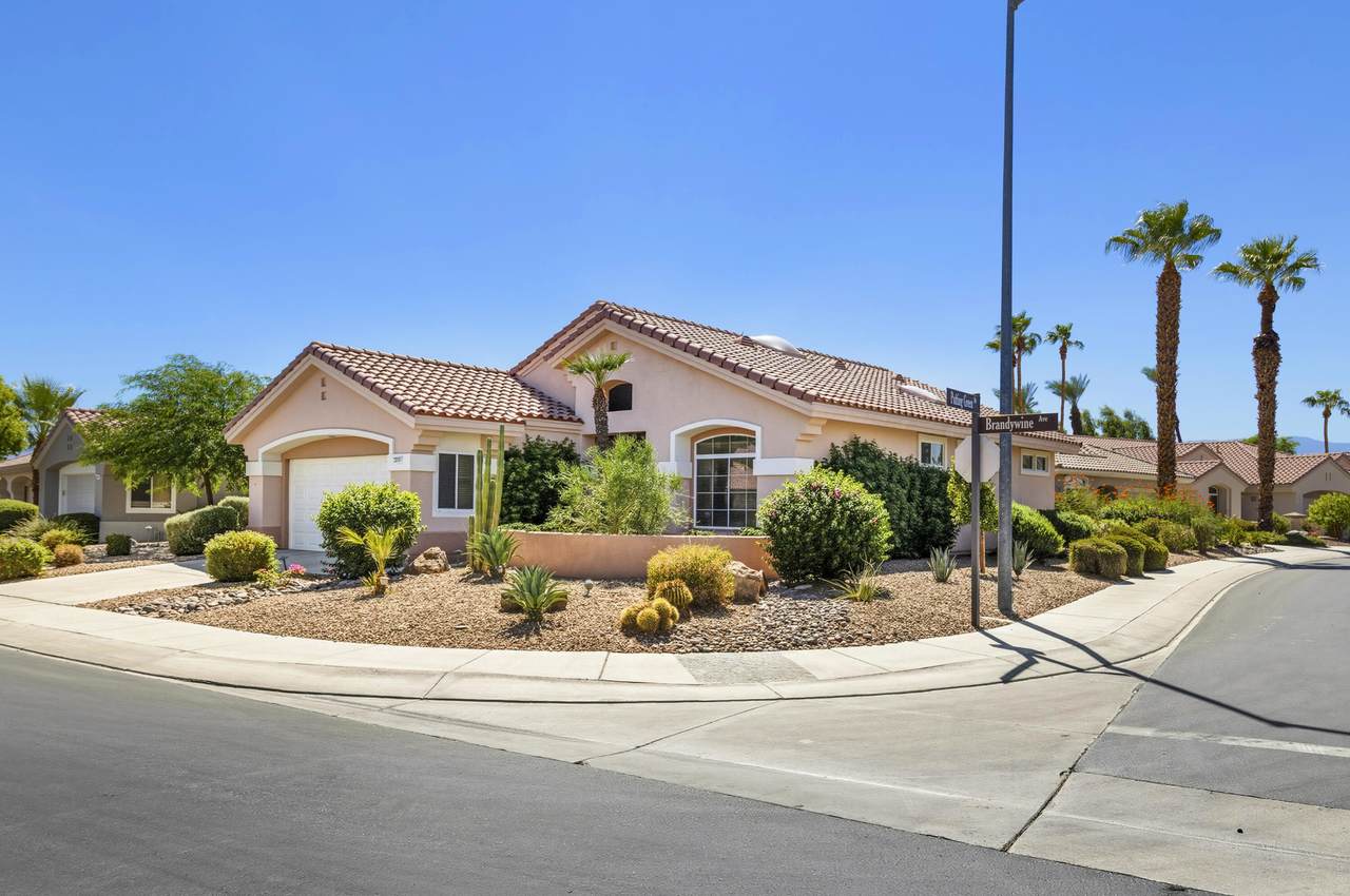 38781 Brandywine Avenue - Photo 1