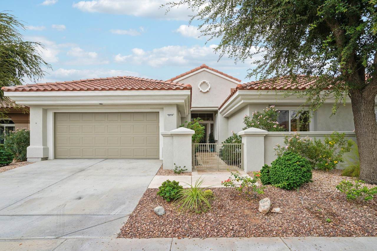 78259 Yucca Blossom Drive Drive - Photo 1
