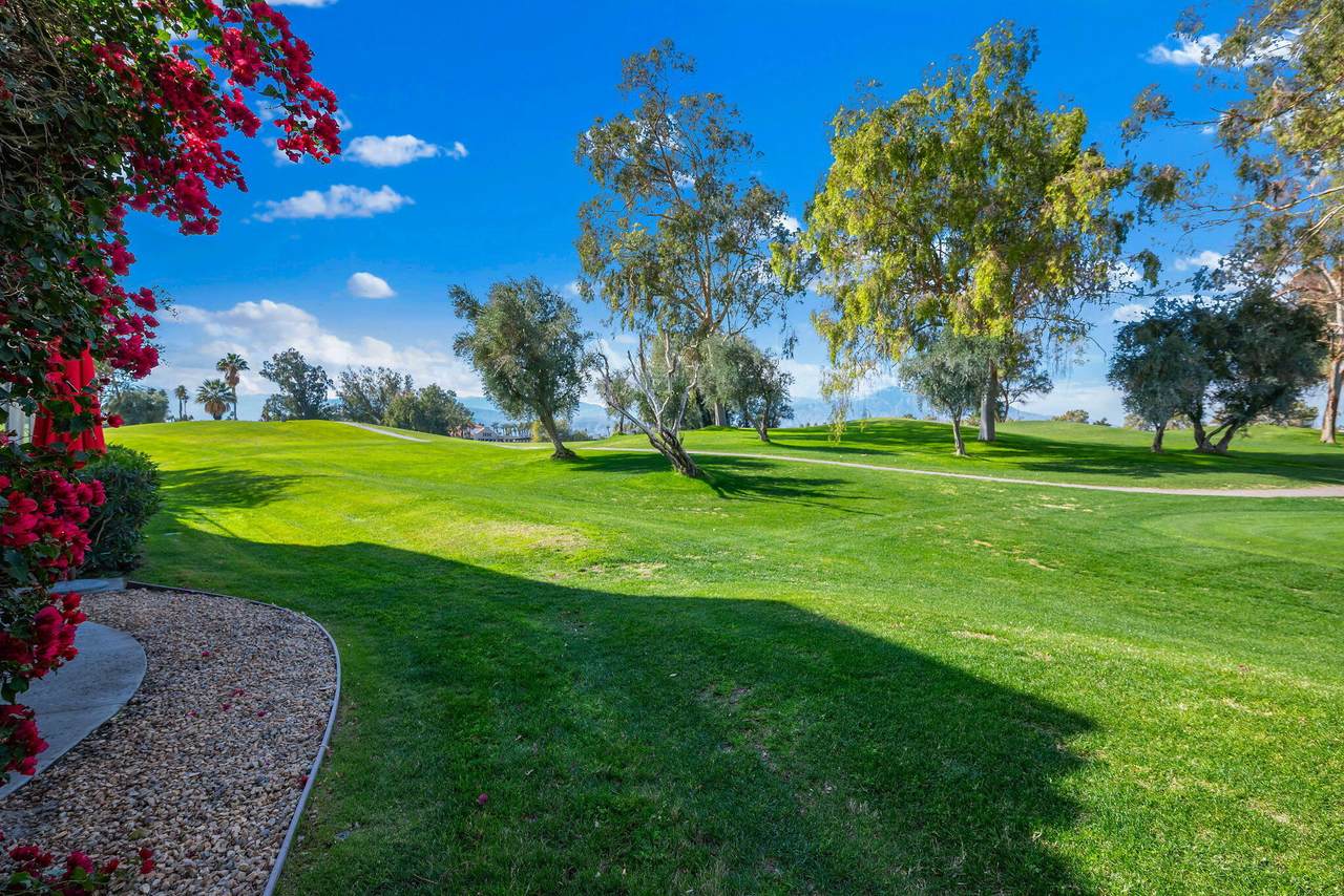 207 Desert Falls Circle - Photo 1