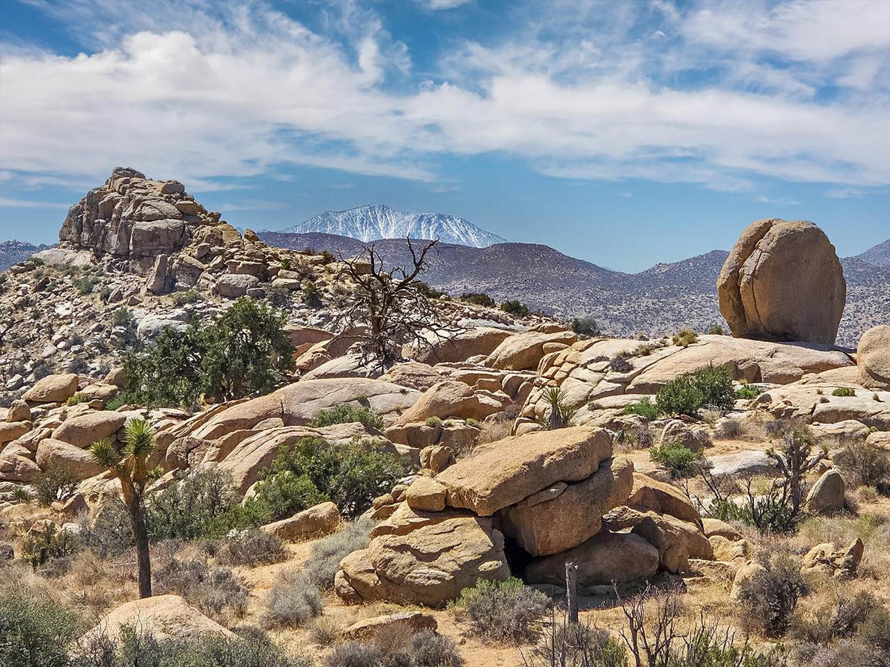 101 Hondo Street - Photo 1