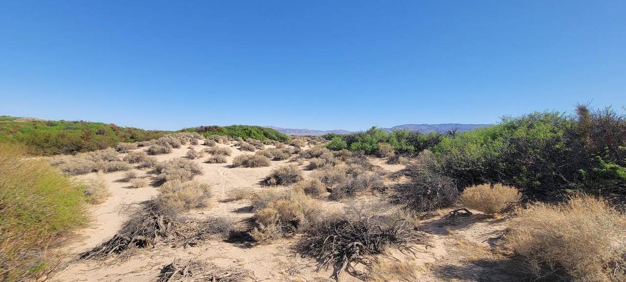 1655 La Buena Tierra Avenue - Photo 1
