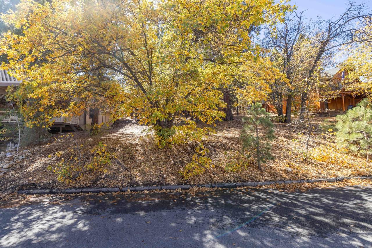 1409 Klamath Road - Photo 1