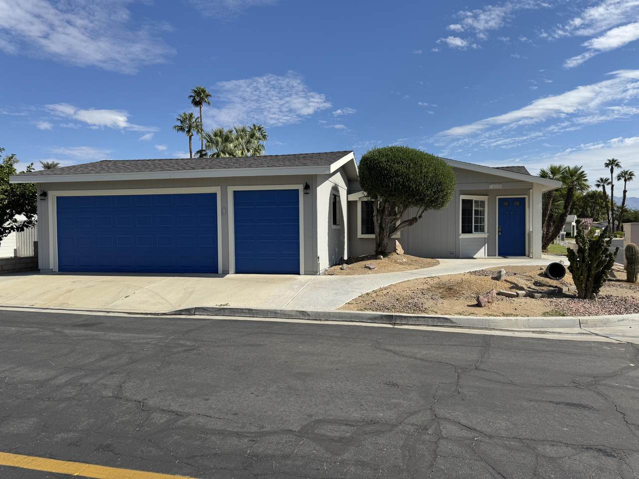 74698 Mexicali Rose - Photo 1