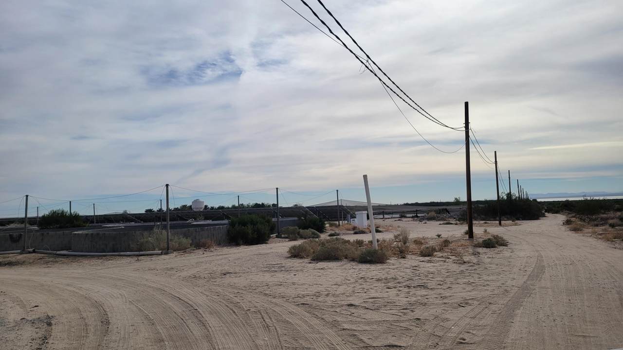 96400 70th Avenue - Photo 1