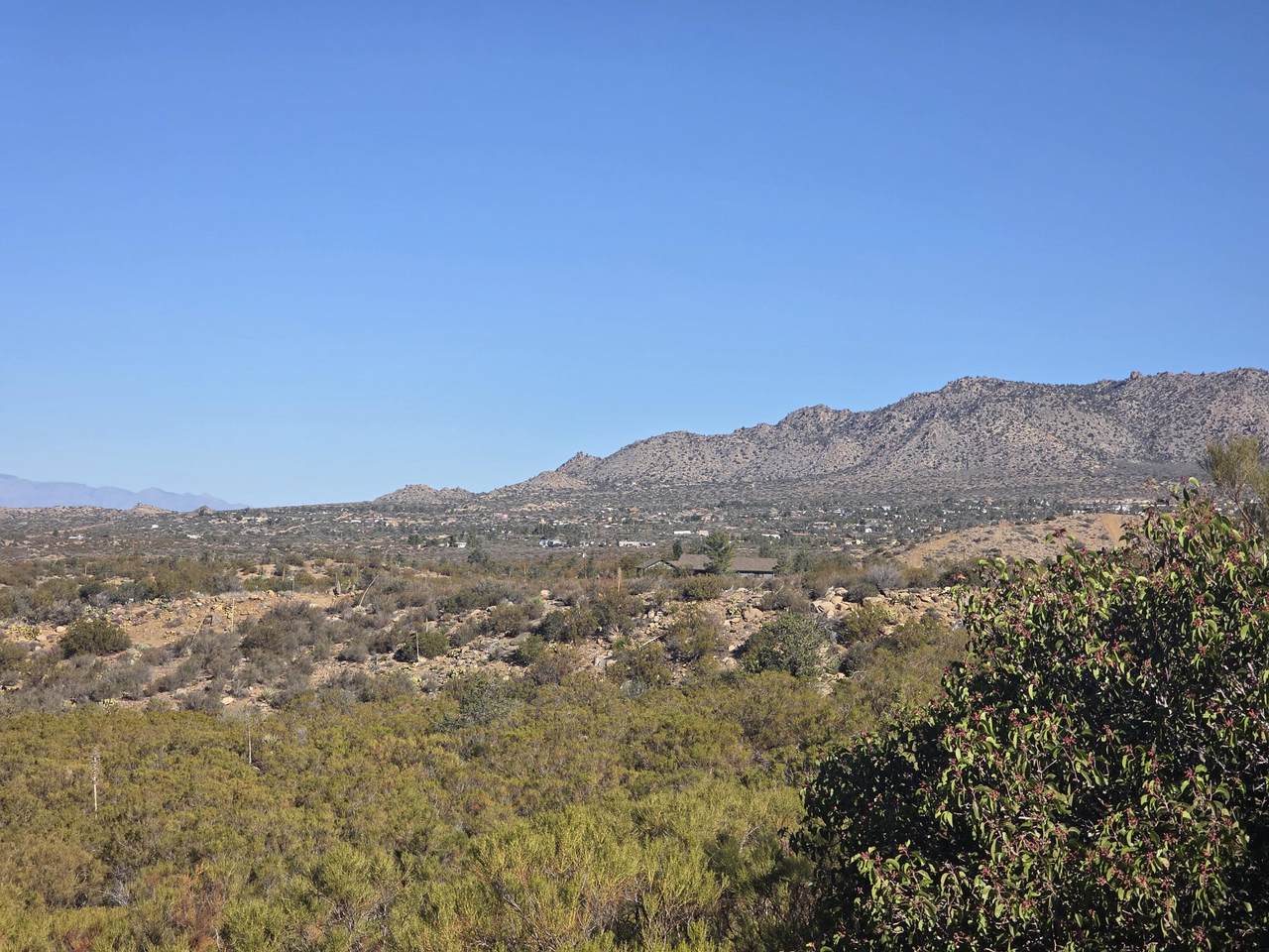 0000 Belvedere - Photo 1