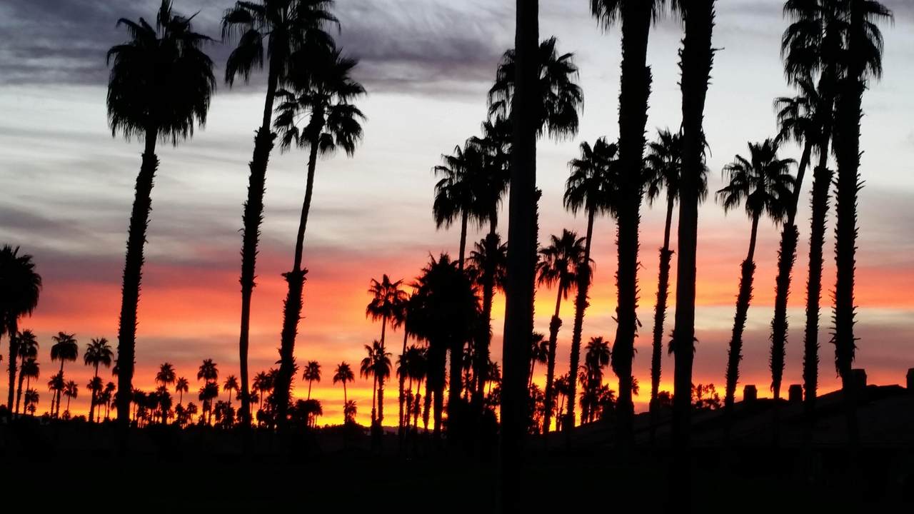 110 Conejo Circle - Photo 1