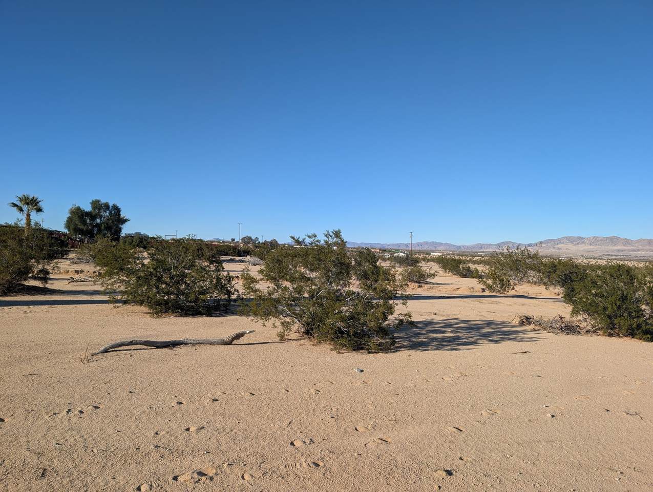 https://bt-photos.global.ssl.fastly.net/damls/1280_boomver_1_219140030-2.jpg