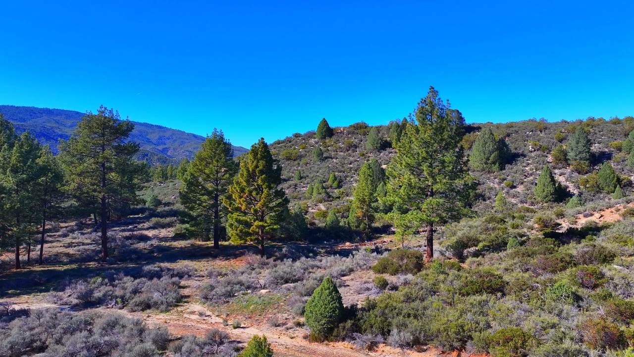 1 Butterfly Peak Road - Photo 1