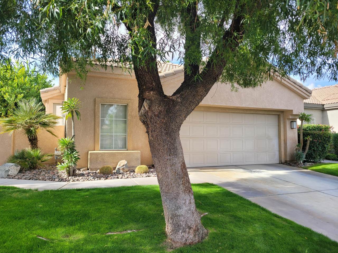 29631 Trancas Drive - Photo 1