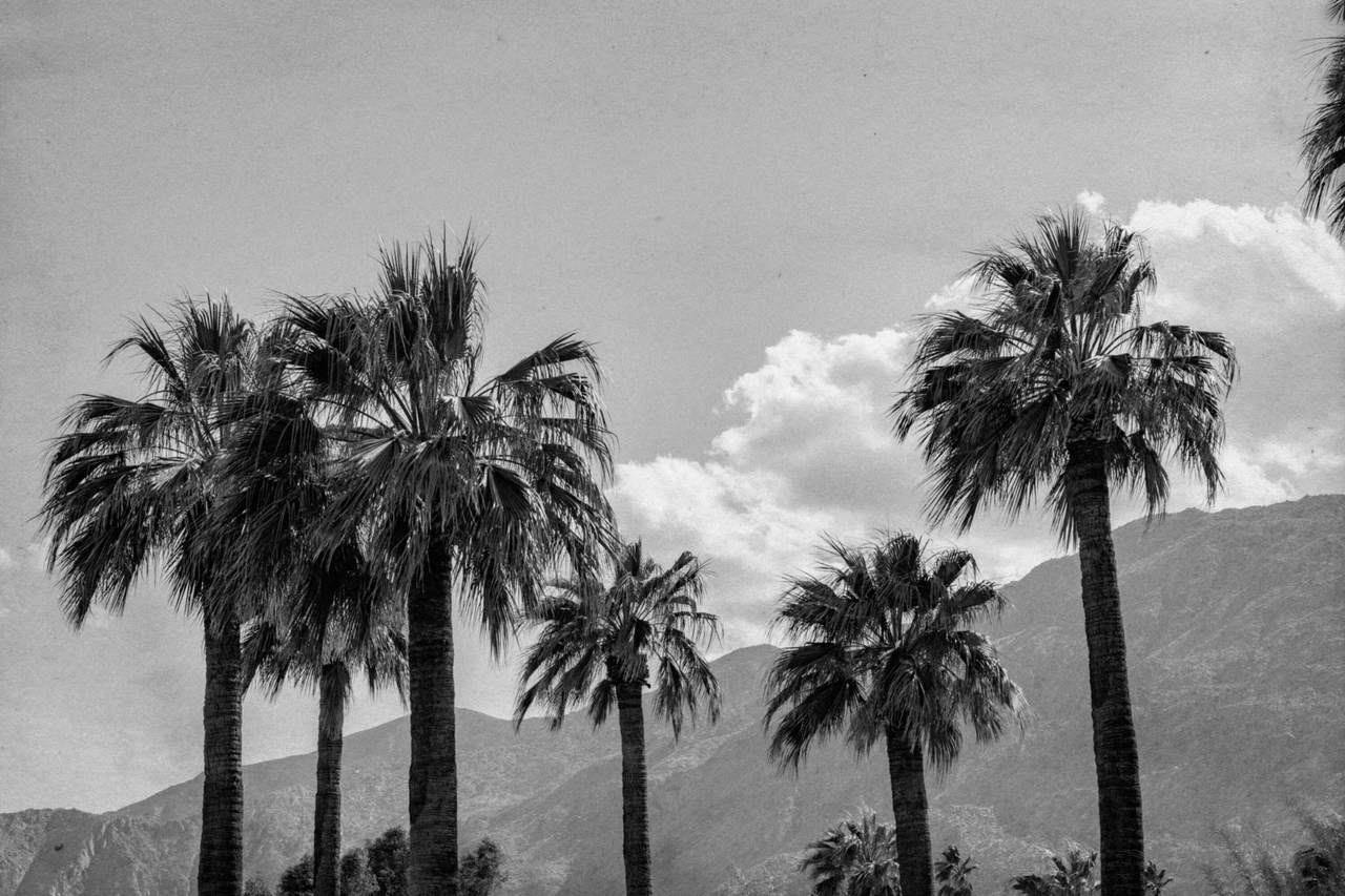 2743 Indian Canyon Drive - Photo 1