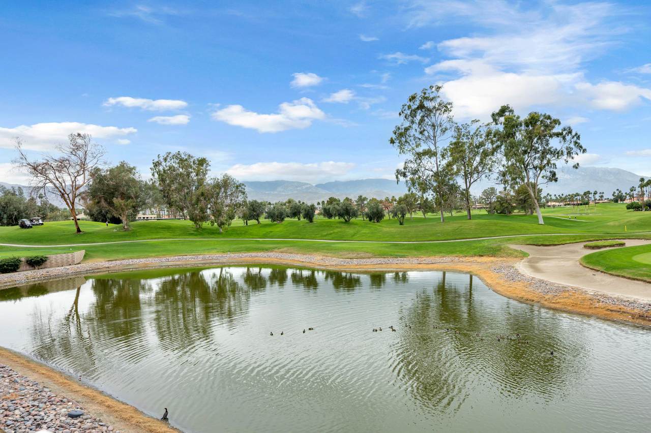 229 Desert Falls Drive - Photo 1