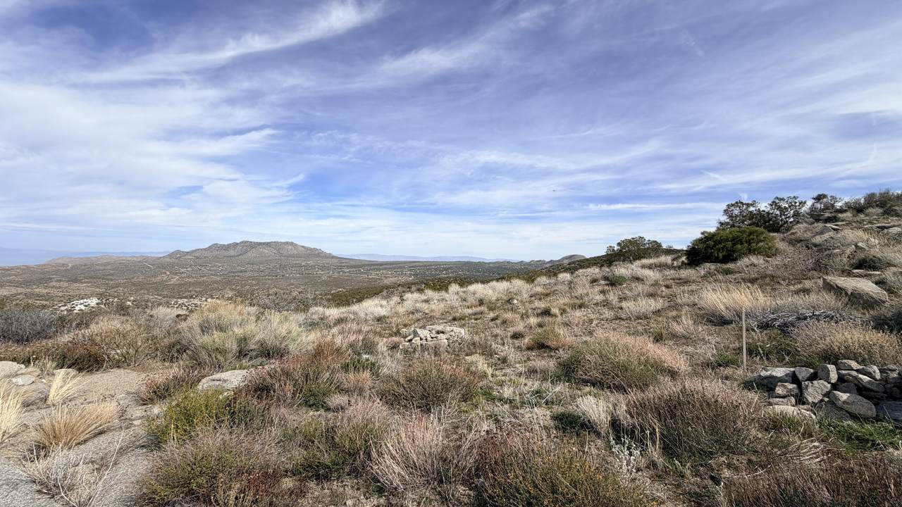 https://bt-photos.global.ssl.fastly.net/damls/1280_boomver_1_219143282-2.jpg