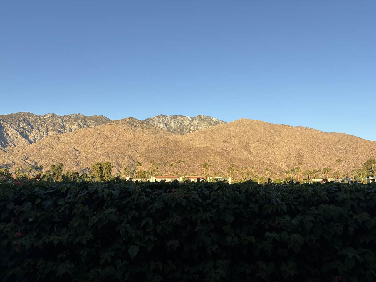 https://bt-photos.global.ssl.fastly.net/damls/1280_boomver_1_219144660-2.jpg