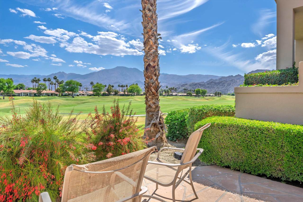 80679 Oak Tree - Photo 1
