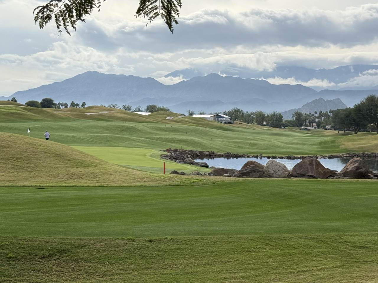 54446 Oaktree - Photo 1